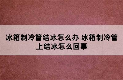 冰箱制冷管结冰怎么办 冰箱制冷管上结冰怎么回事